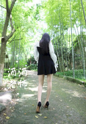 爆笑虫子全集免费观看_DVD高清在线