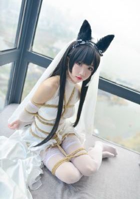 电视剧大秦赋全集免费观看完整版_高清完整版BD